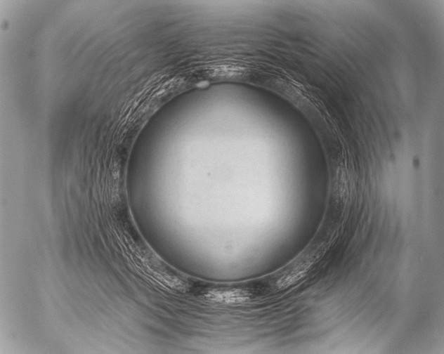 X0000053050557200507251426