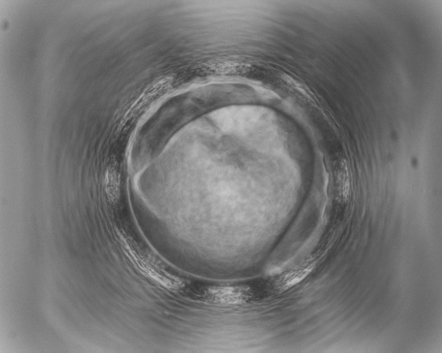 X0000053050558200507251426