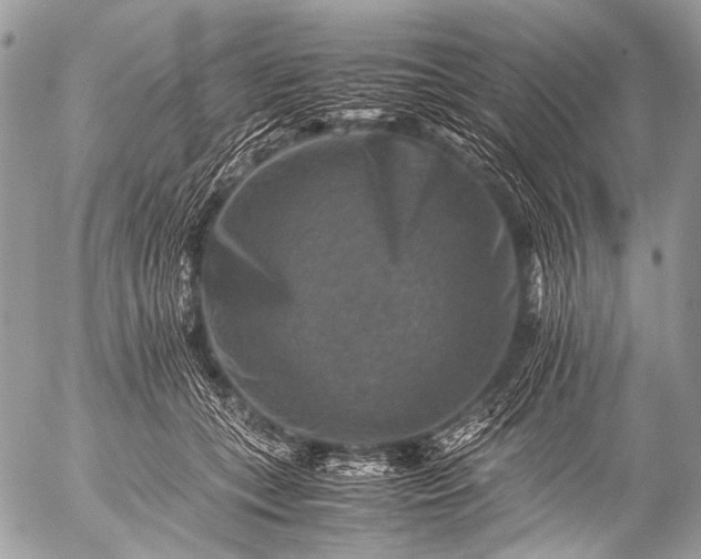 X0000053050559200507251426