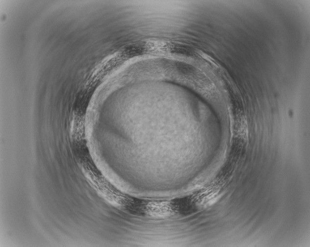 X0000053050560200507251426