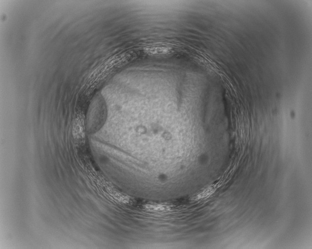 X0000053050561200507251426