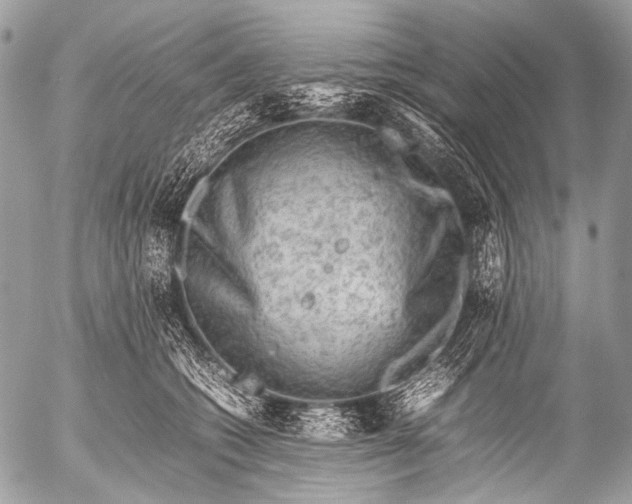 X0000053050562200507251426