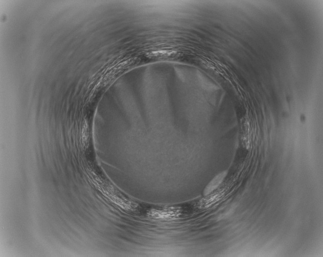 X0000053050563200507251426