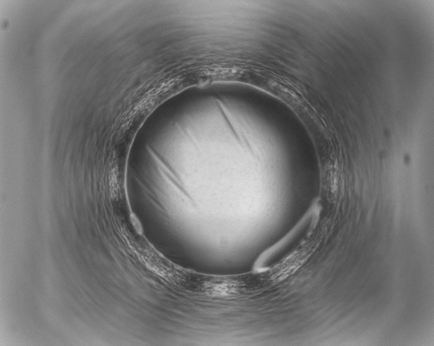 X0000053050564200507251426