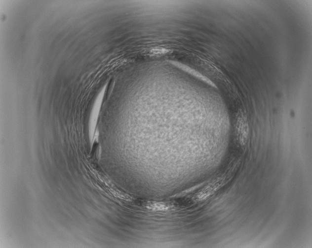 X0000053050565200507251426