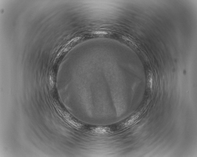 X0000053050566200507251426