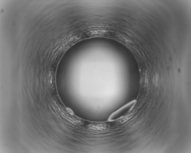 X0000053050567200507251426