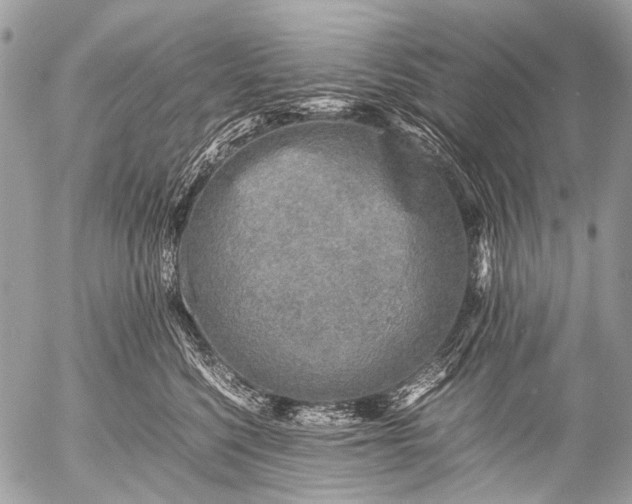 X0000053050568200507251426