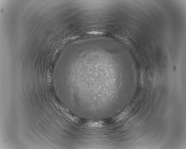 X0000053050569200507251426