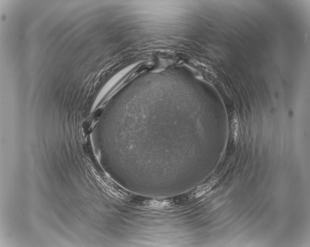 X0000053050570200507251426