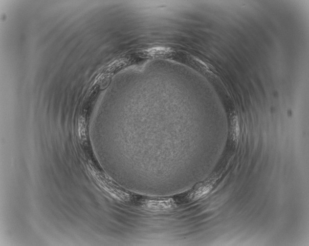 X0000053050571200507251426