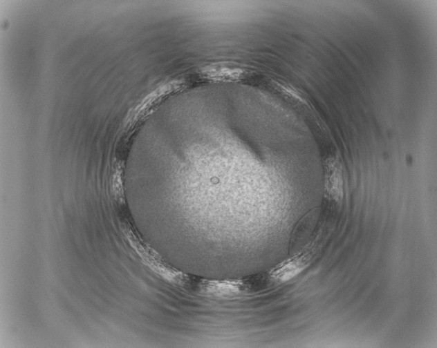 X0000053050573200507251426