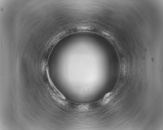 X0000053050574200507251426