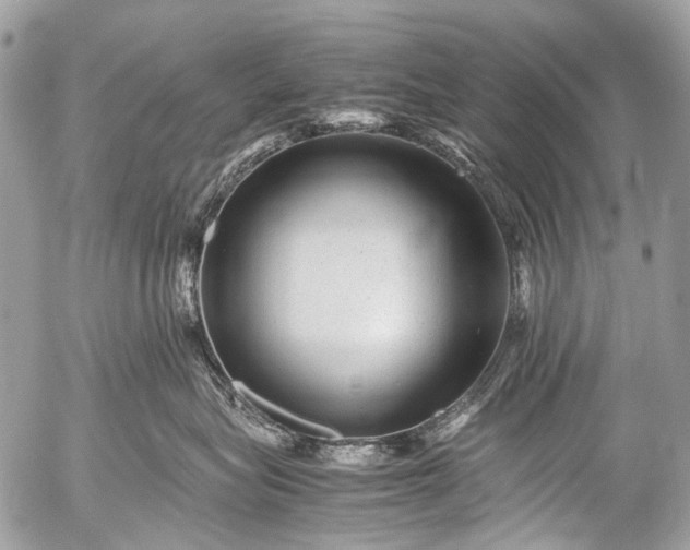 X0000053050575200507251426