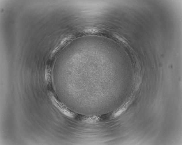 X0000053050576200507251426