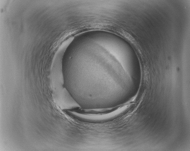 X0000053050577200507251425