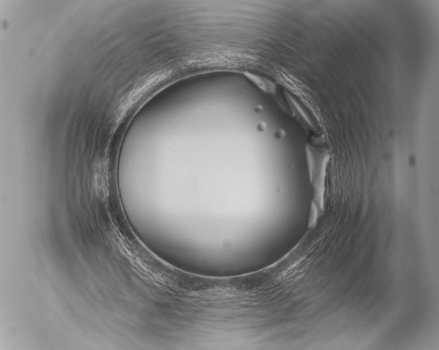 X0000053050578200507251425