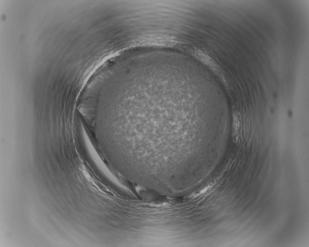 X0000053050580200507251425