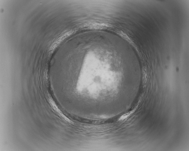 X0000053050581200507251425