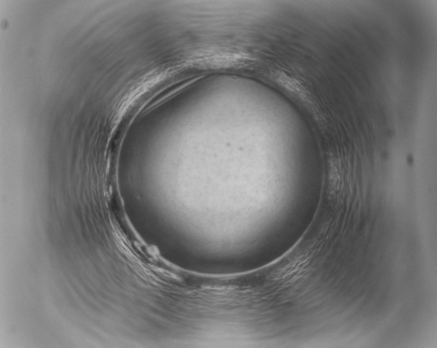 X0000053050582200507251425