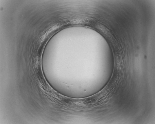 X0000053050583200507251425