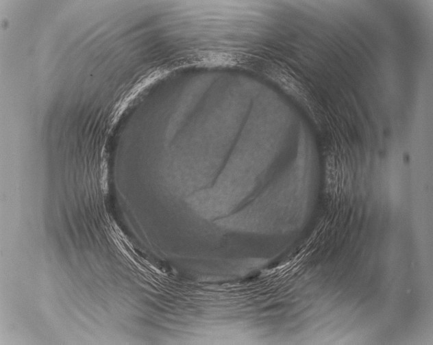 X0000053050584200507251425