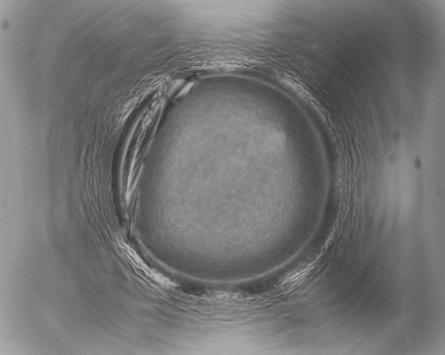 X0000053050585200507251425