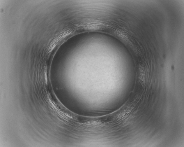 X0000053050586200507251425