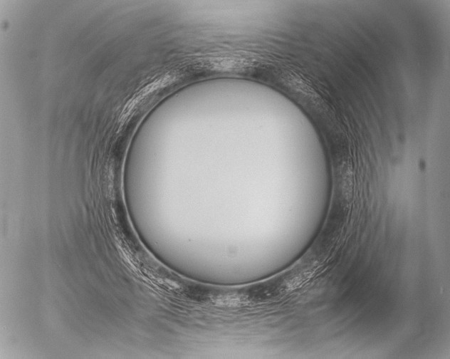 X0000053050587200507251425