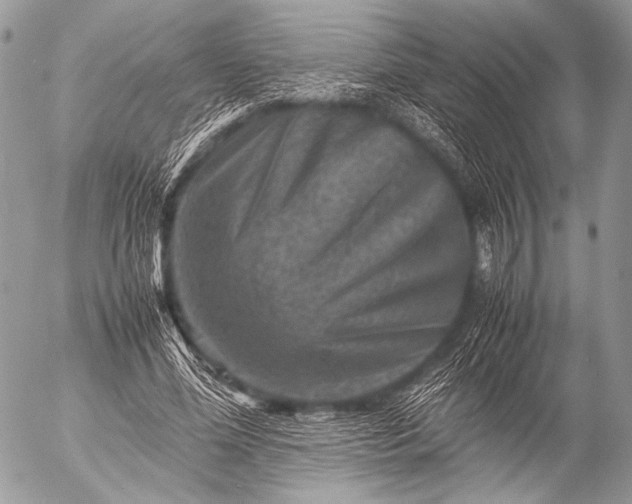 X0000053050588200507251425