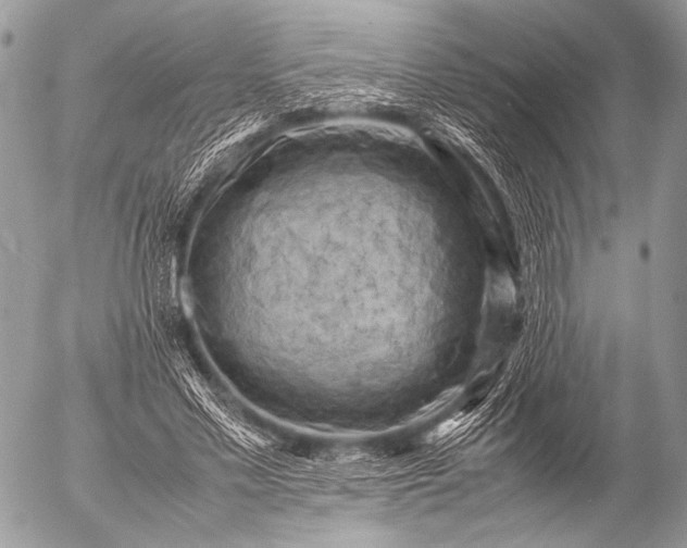 X0000053050589200507251425