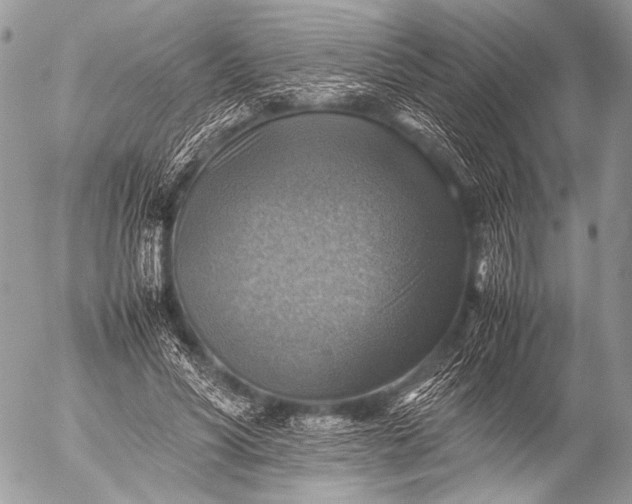 X0000053050590200507251425