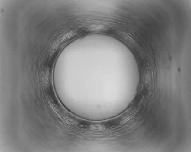 X0000053050591200507251425