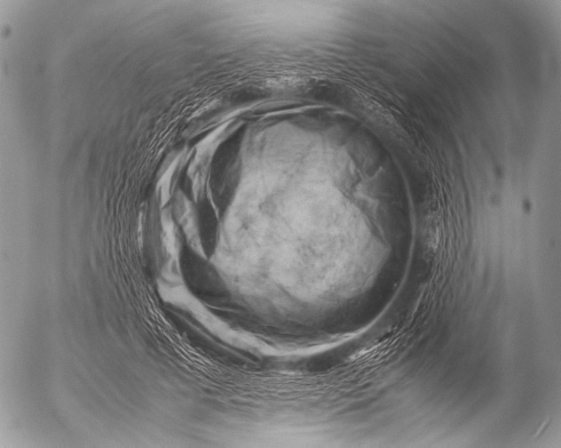 X0000053050593200507251425