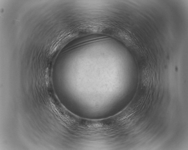 X0000053050594200507251425