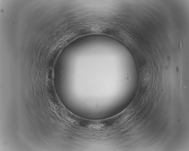 X0000053050595200507251425