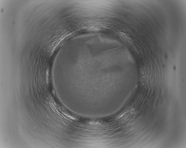 X0000053050596200507251425