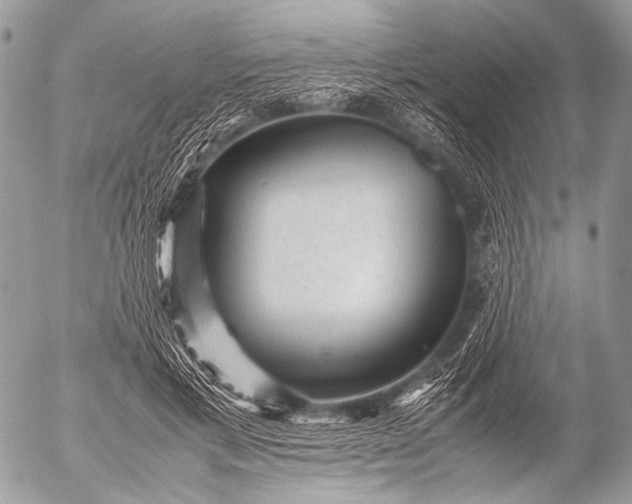 X0000053050597200507251425