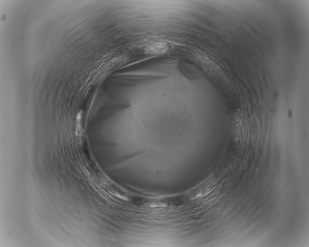 X0000053050598200507251425