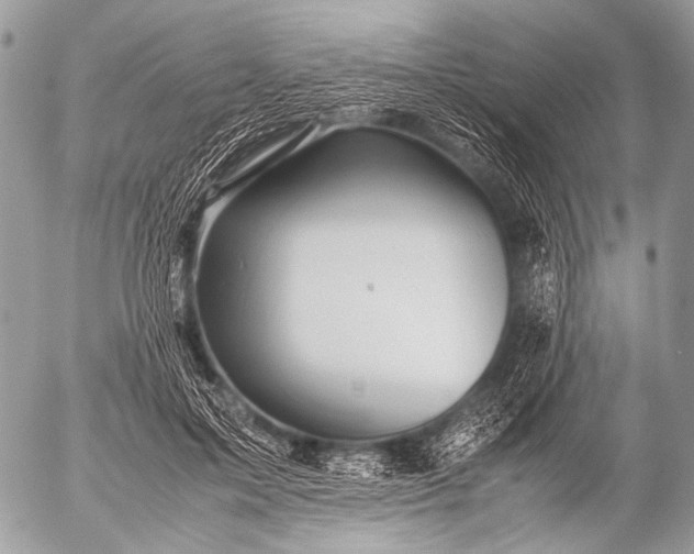 X0000053050599200507251425