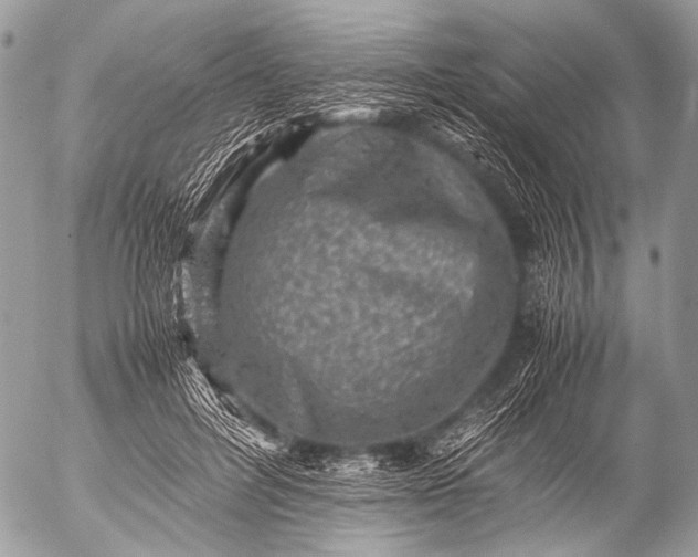 X0000053050600200507251425