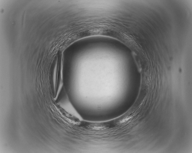 X0000053050601200507251425