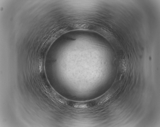 X0000053050602200507251425