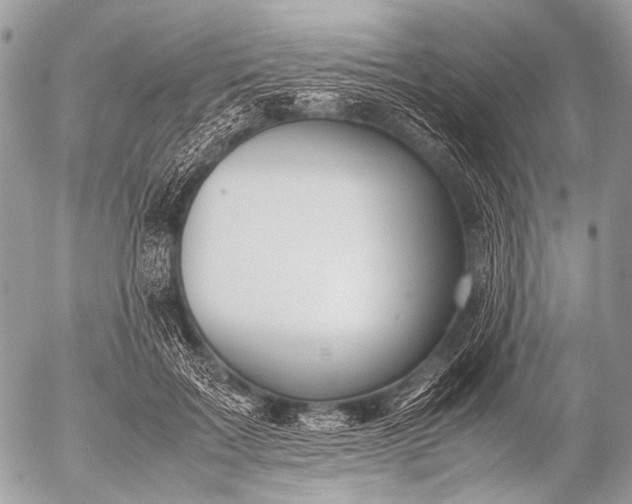 X0000053050603200507251425