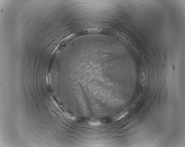 X0000053050604200507251425