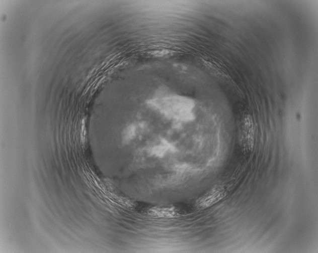 X0000053050606200507251425