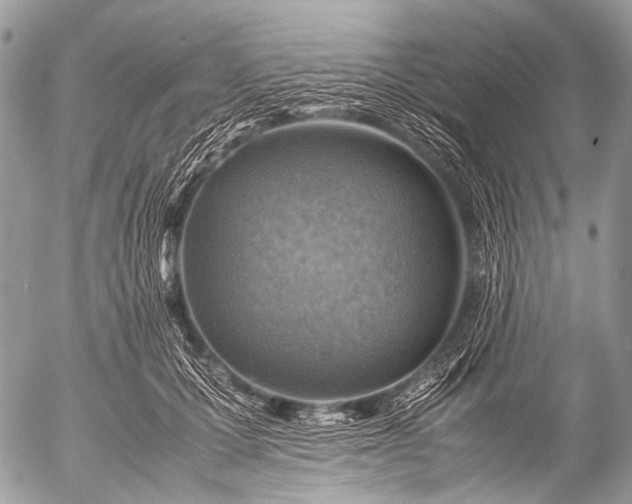 X0000053050607200507251425