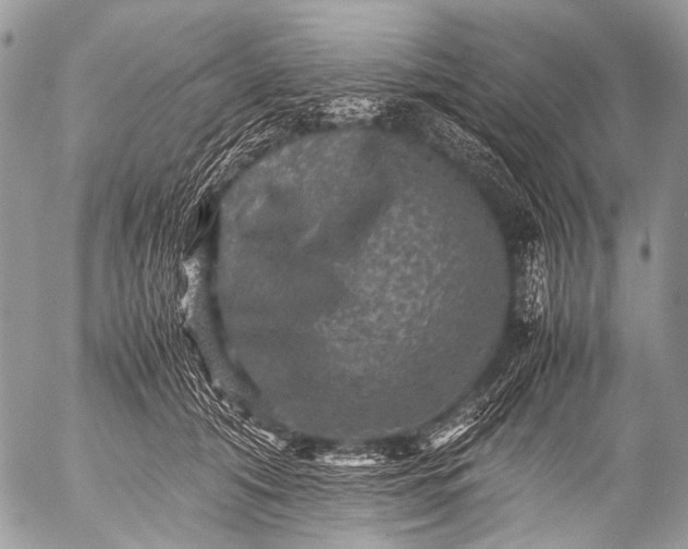 X0000053050608200507251425