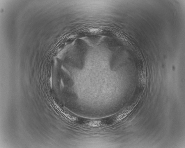 X0000053050609200507251425