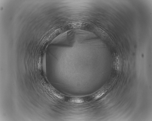 X0000053050610200507251425